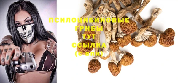 ешки Янаул