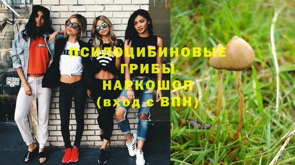 прущие крисы Яранск