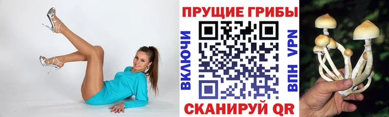 Псилоцибиновые грибы мицелий  Сызрань 