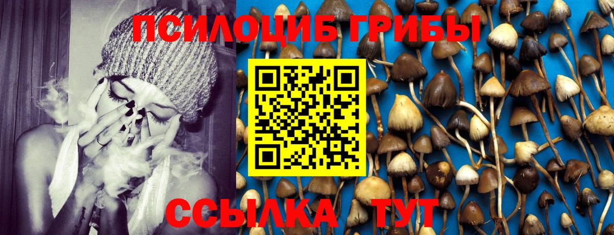 Галлюциногенные грибы Psilocybine cubensis  Вход с VPN  Псилоцибиновые грибы мухоморы  Сызрань 
